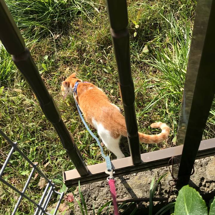 69e7d62f 0016 4f9c 801d cd1e999c18f8