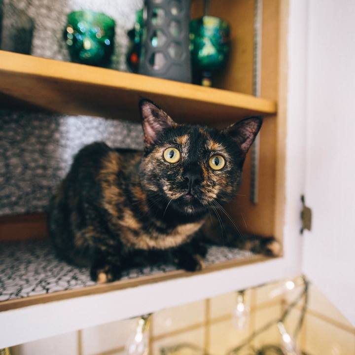 69e84204 e013 4ec5 9c33 88fd5d9d5807