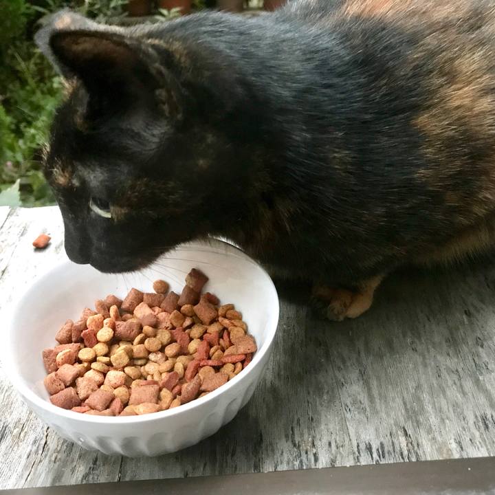 69e89254 9f49 4afb b3de fcc06649c059