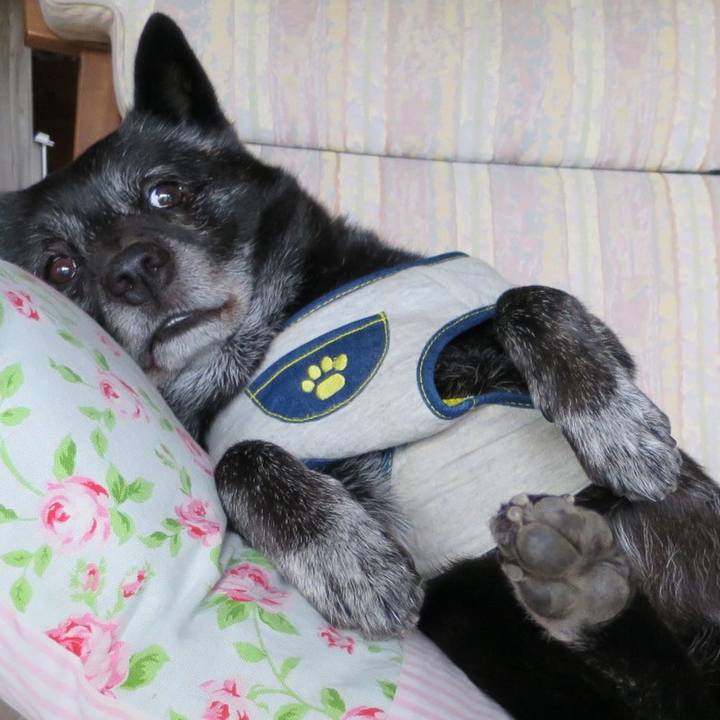 69e901cc a4ce 42c8 bb3e 948a39ef15c1