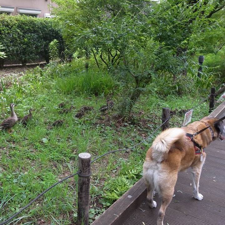 69e9489d 0b0c 4790 8370 3d3951206346