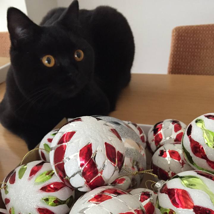 69e9c8b9 1774 43a9 a137 8803c61285ed