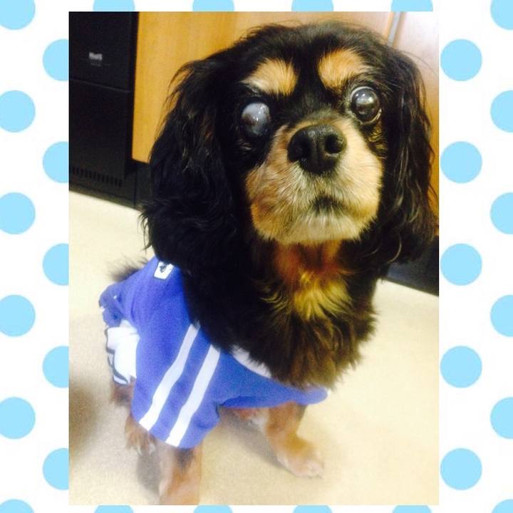 69e9d558 4bbe 4119 8c21 f5da4e56246c