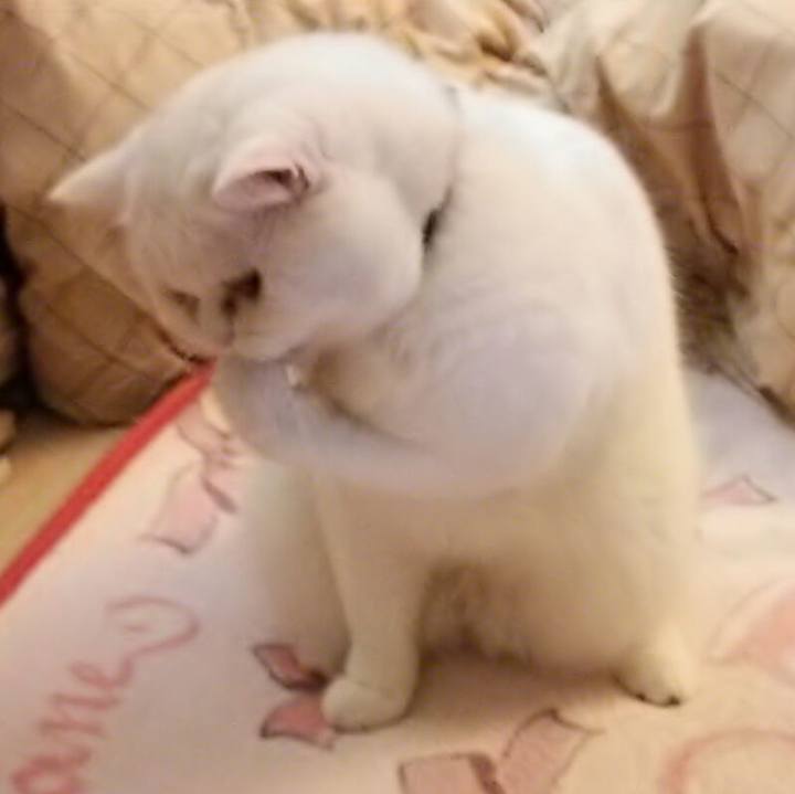 69ea0ea9 47dd 41f3 b594 10c722b217d0