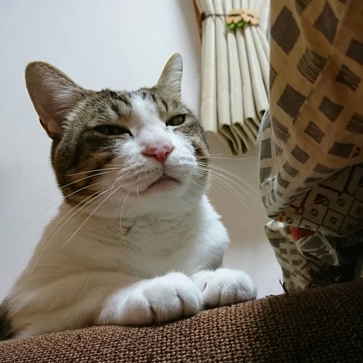 69ea96a0 1b53 4bd4 bb4d a4c4a224bb03