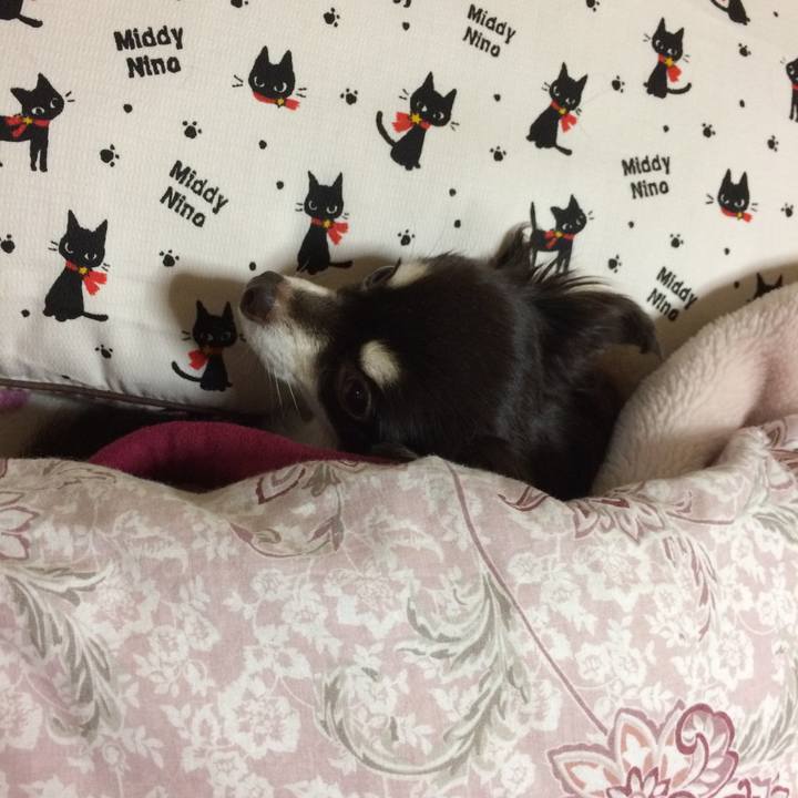 69eaf20a 8b73 4e69 82c8 b62dfe8f9d32