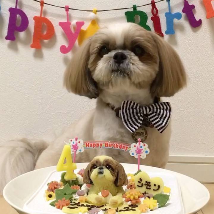 69ecac9f ad25 485f b892 619fde3a895d