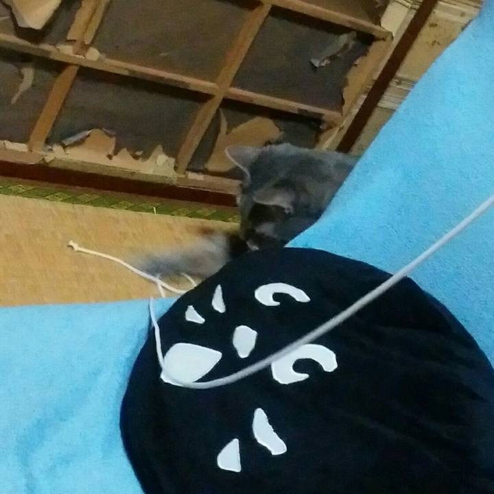 69ed3fe0 c30e 48cf a598 50e0cc3cf3ae