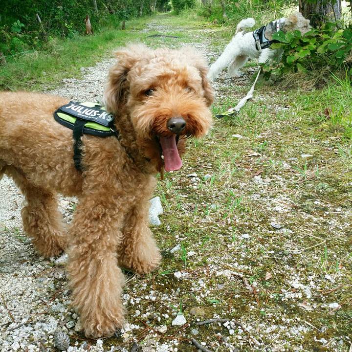 69ed6f8c e4bc 4388 ac6e c70d63988e69