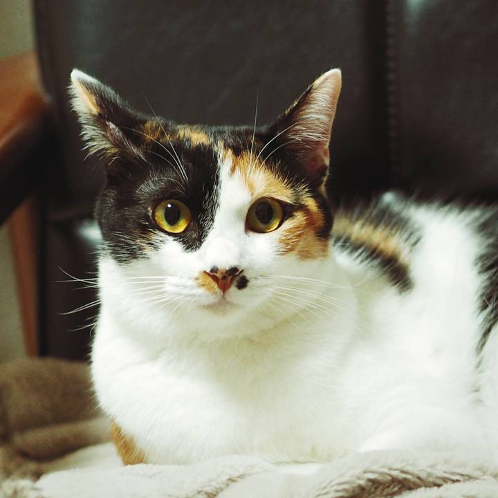 69ee6513 3310 4f79 bbee e9b6db44816d