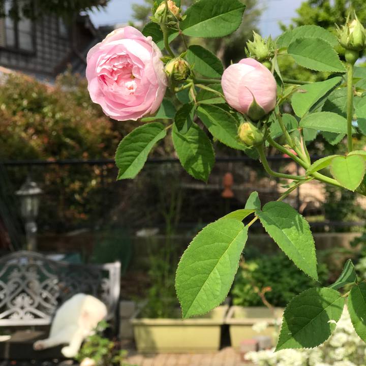 69eee52e 6f8c 4cc2 942f 228efc48078c