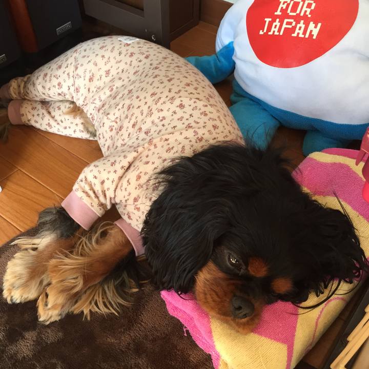 69ef79c1 1eab 4e9f 8031 cb365fc54e21