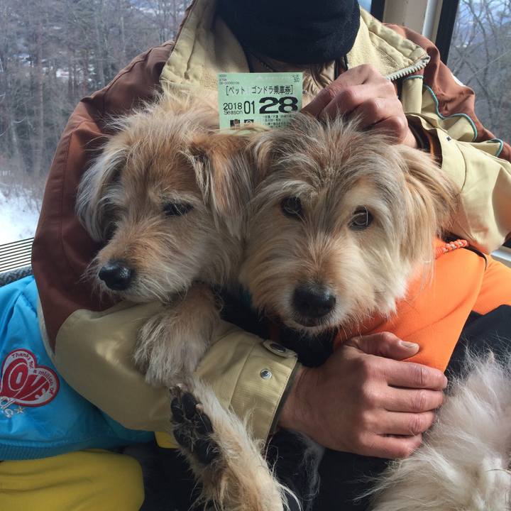 69efc782 98ef 44e8 96a8 8df4d0e62879