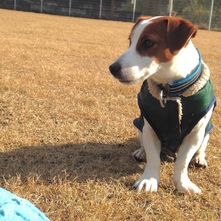 69f0566f c160 40e6 a357 9b686c21ede4