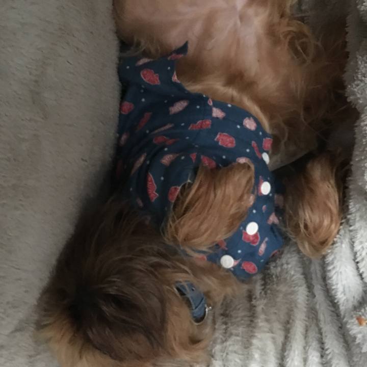 69f0fbd3 63e9 4f1c b39f b79619bcde02