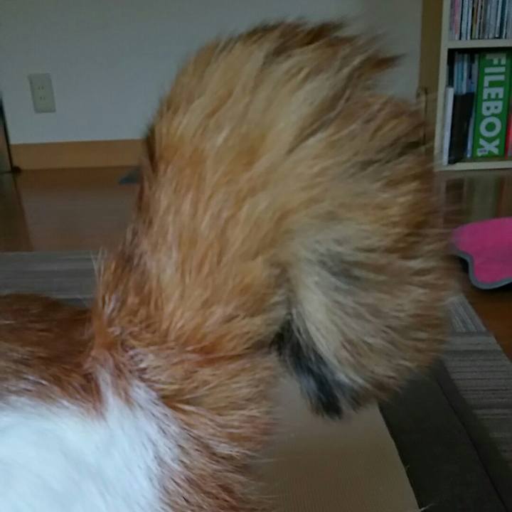 69f15229 1f03 4410 9b0e c7973aa83f22