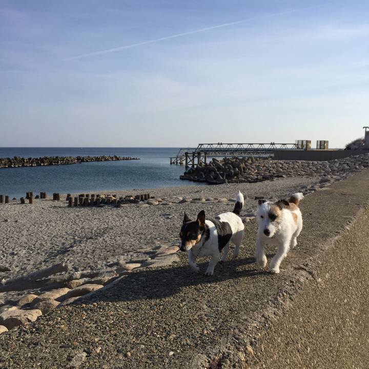 69f162af d6c3 4645 b9d6 99cb7abbd75a