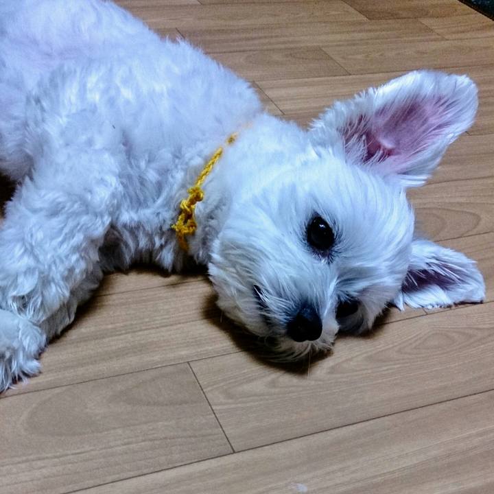 69f1cbac e9b1 47dd bffb 5556b745f50f