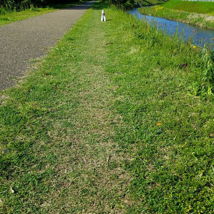 69f1d636 9cb2 4864 a94b 444139a3b137