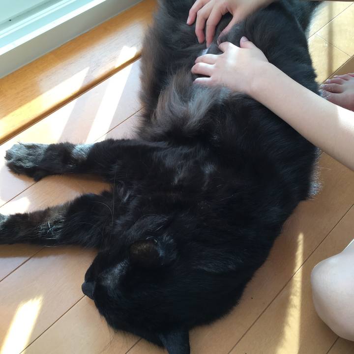 69f23afc fe2f 4d47 9fc3 ce669783335f