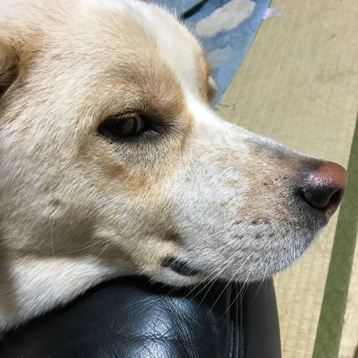 69f24216 eac9 4b17 a6bf fa7a3e1f7948