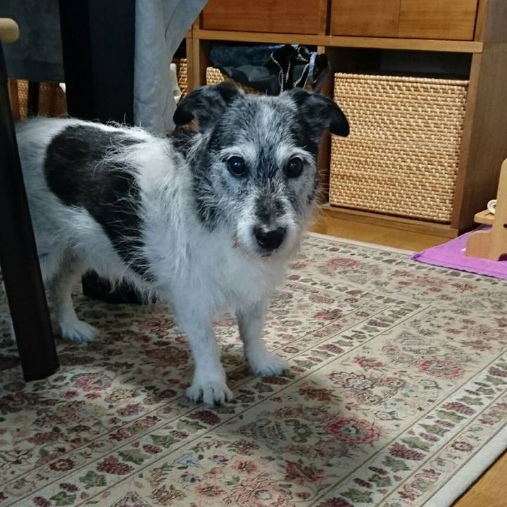 69f28423 e48e 4f61 a085 b0696e024b48