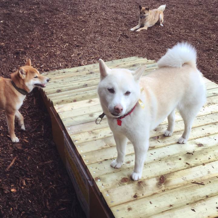 69f2b03b ad06 471d 9232 7b660d3ffc10