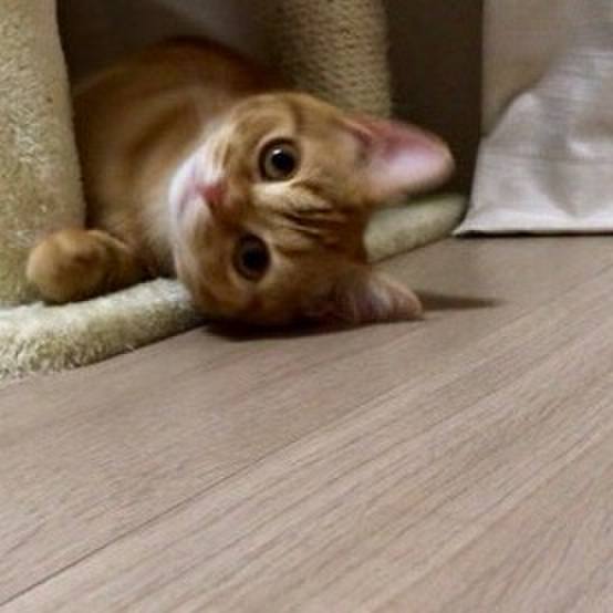 69f306ed 292a 43c2 a5a0 9301e0160f0e