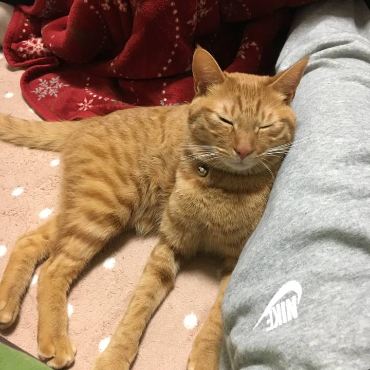 69f33d8e 3419 4a37 9675 3b656e1dcdcd