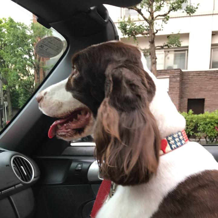 69f34e57 77bb 4938 8899 56f812061651