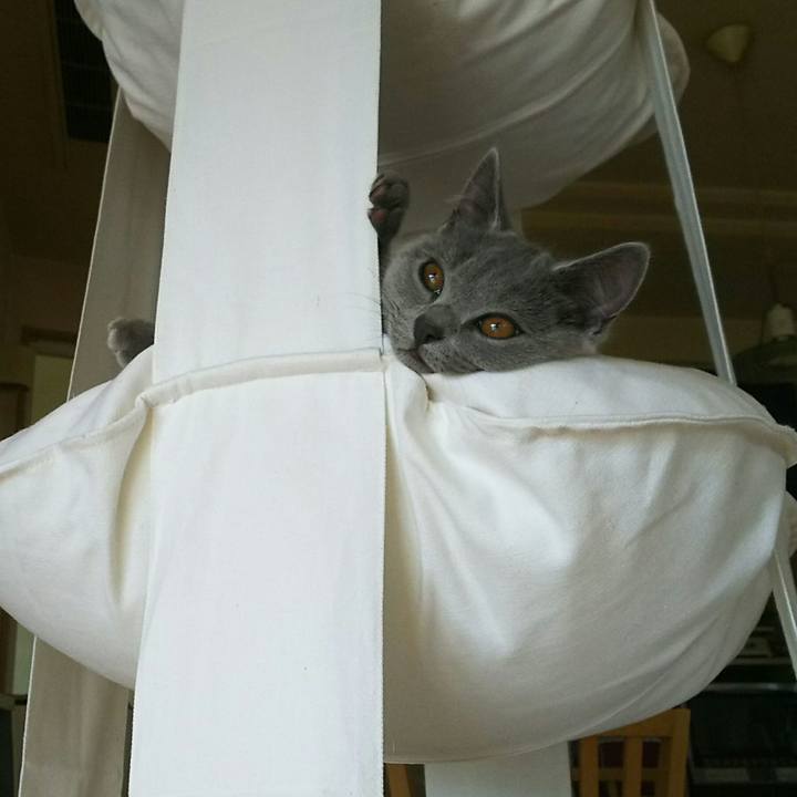 69f35137 2aad 410b a49f e5de1d894312