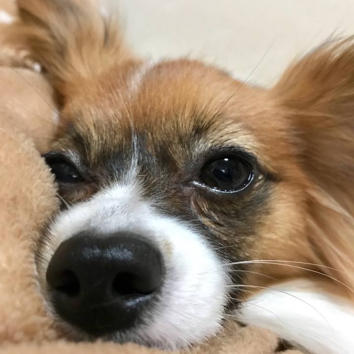 69f38dc8 1623 4ad3 9836 1eed99a3fc07