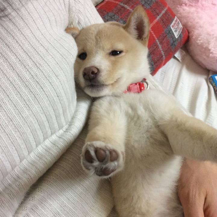 69f3ea9c a802 4fbe 8940 94985929b0e6