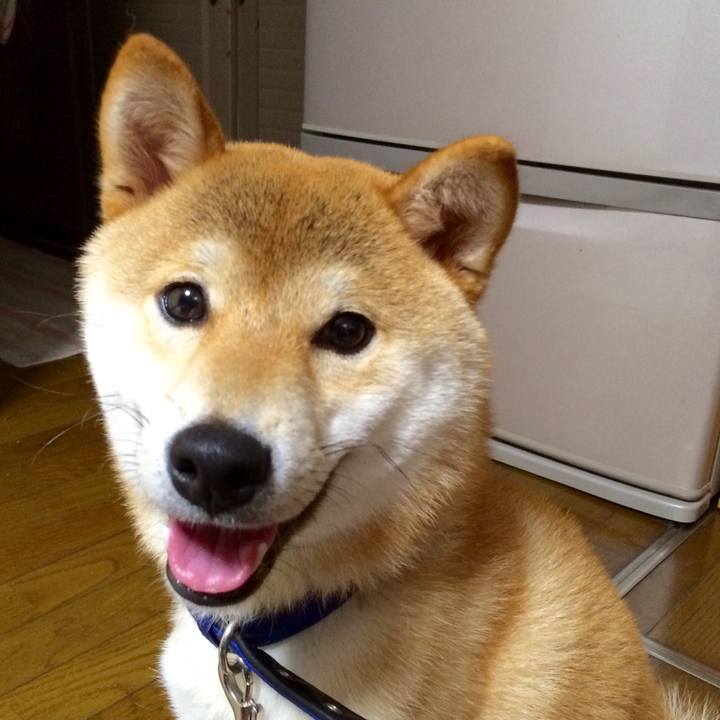 69f56525 c0fc 4096 9cc0 214ffc3085f9