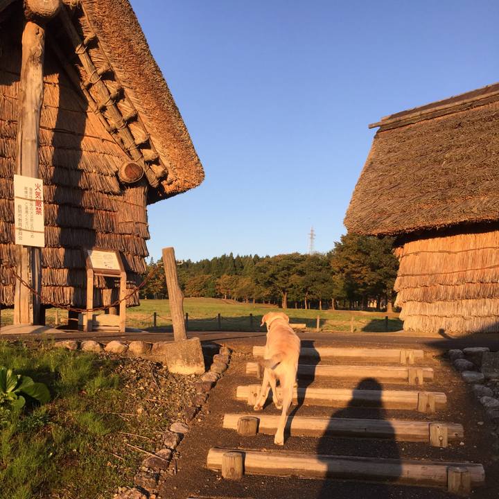 69f56c83 2adf 40cc 96ed f6bbac3083f0