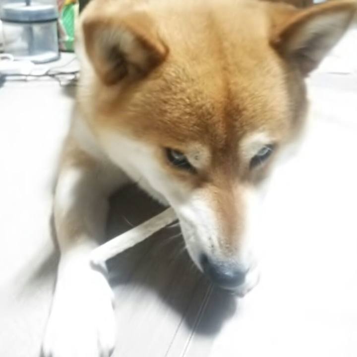 69f5942a fa90 4471 b791 0782012212f6