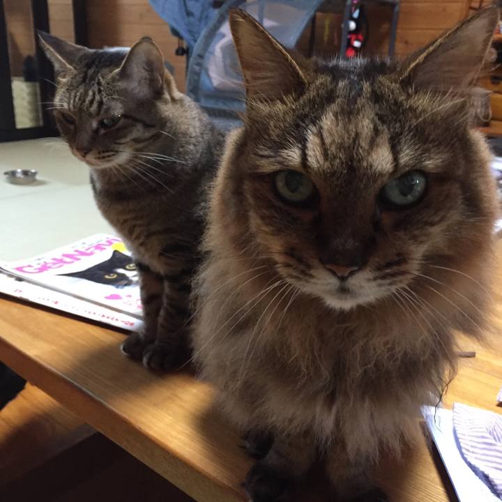 69f5cecd dfde 4249 8227 4de4e612a1dd