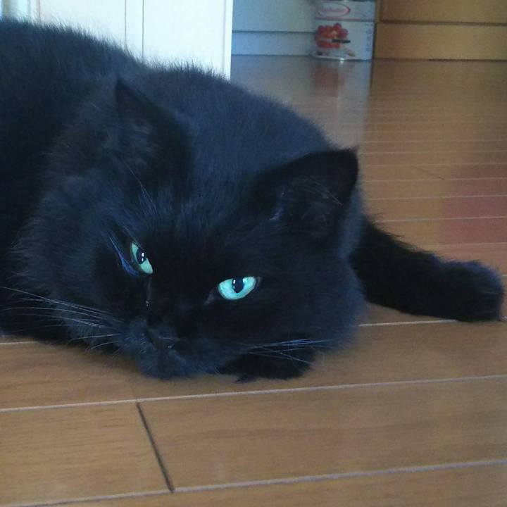 69f5fc73 71c8 4edd b29b f5c7ffa947bd