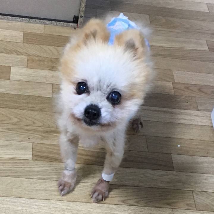 69f5fe68 f763 40e0 809a 1d33f66365ab