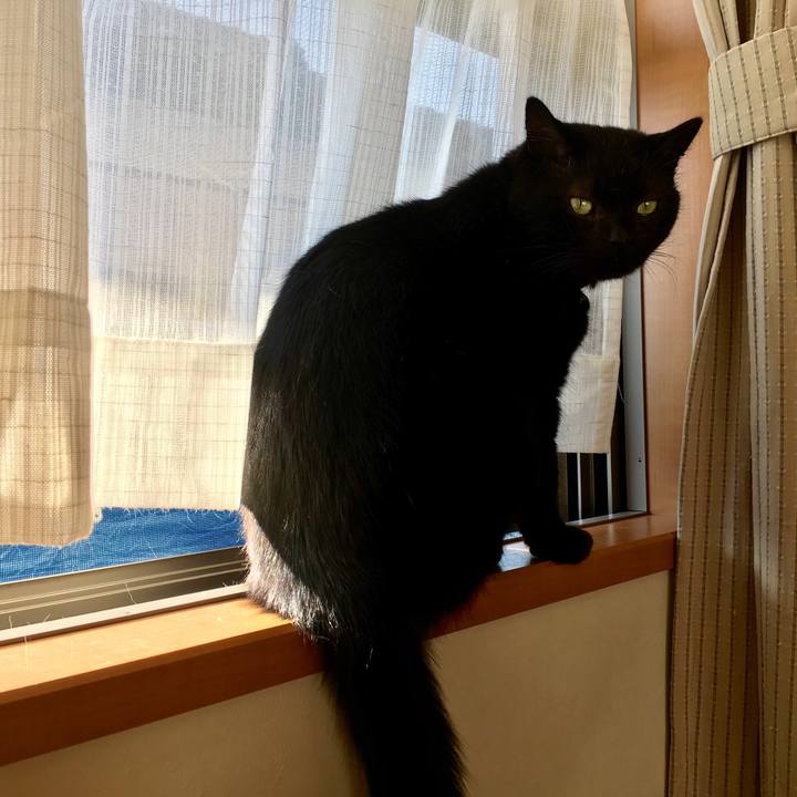 69f670be 9712 40c6 93a0 d1411bdd2b39