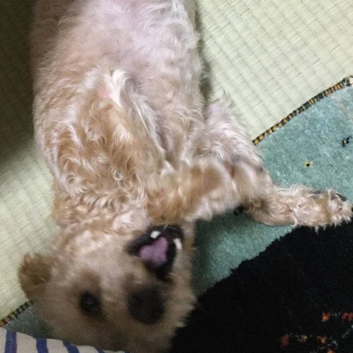 69f6c42d f17d 454c 80ff ad0b84a3216f