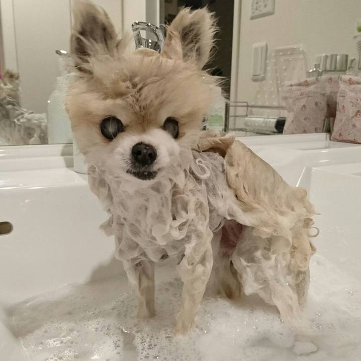 69f709d7 c623 42bf a787 a8eb46e0564c