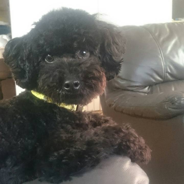 69f72c77 882a 4a78 bc55 f66721d7cba7