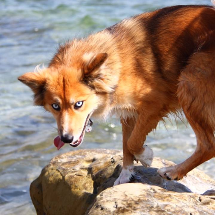 69f7c62c 8e03 461a 9991 158a47ecbaac