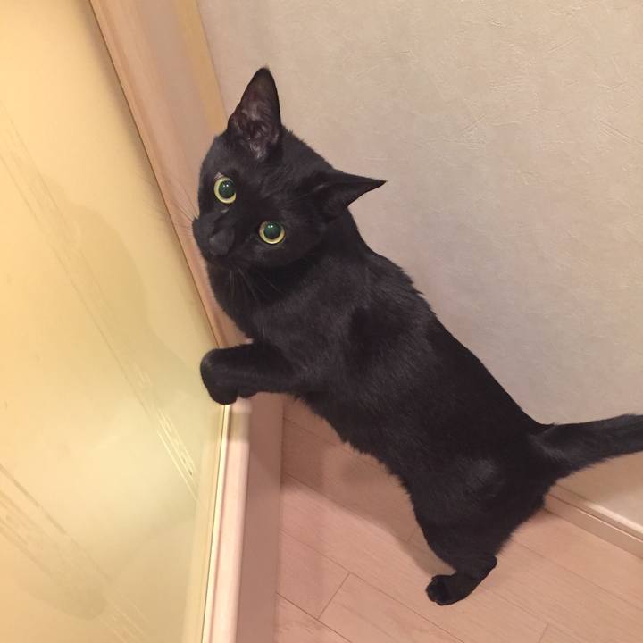 69f7fb33 1d9a 4923 b20a 4580b942dc06