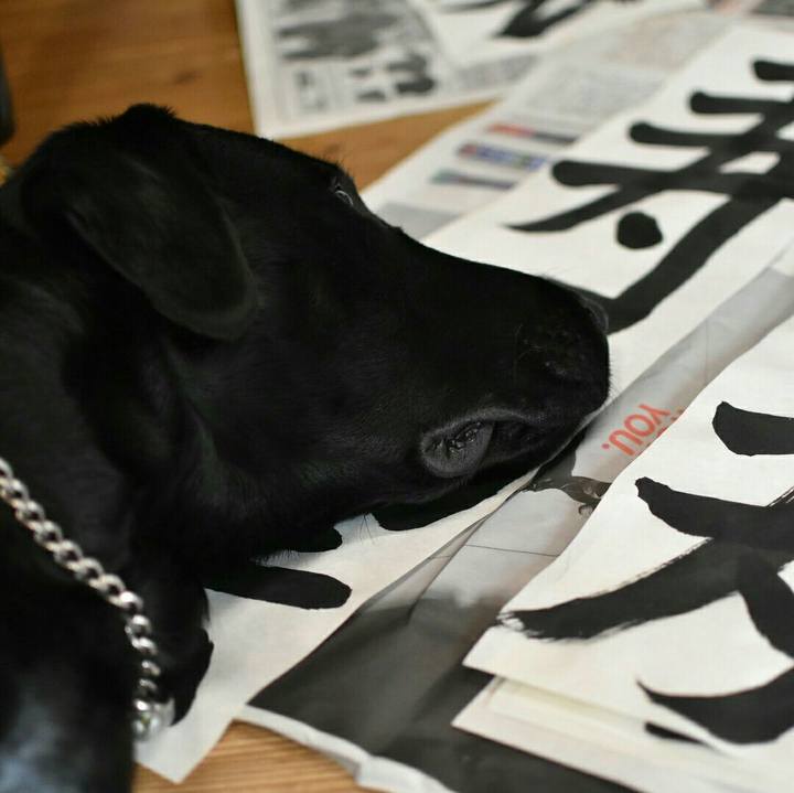 69f8eec9 42fc 41a8 be14 5c41f495ded1