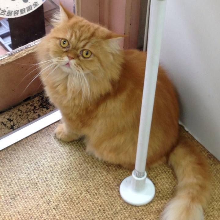 69f9745a 72f9 48f4 88a8 582ea46f5bb1