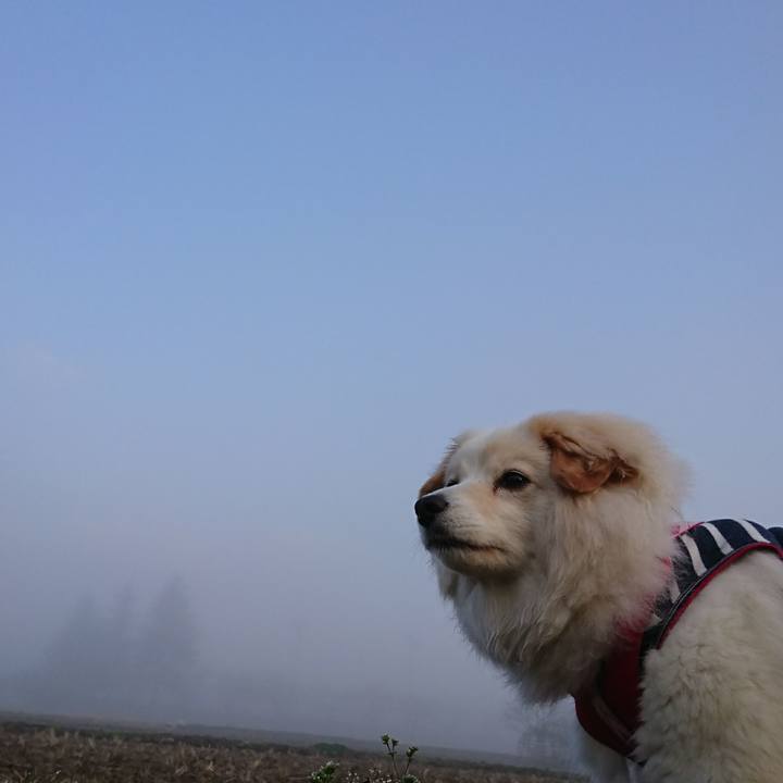 69f97743 9c74 4207 8d6b 1bbb9de0c2a0