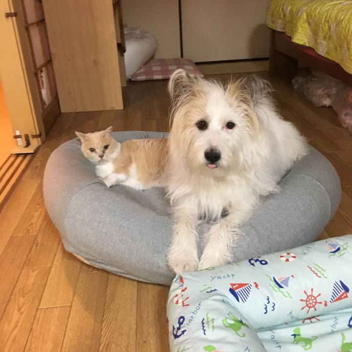 69f9d375 a101 4433 8af4 506a808c219b