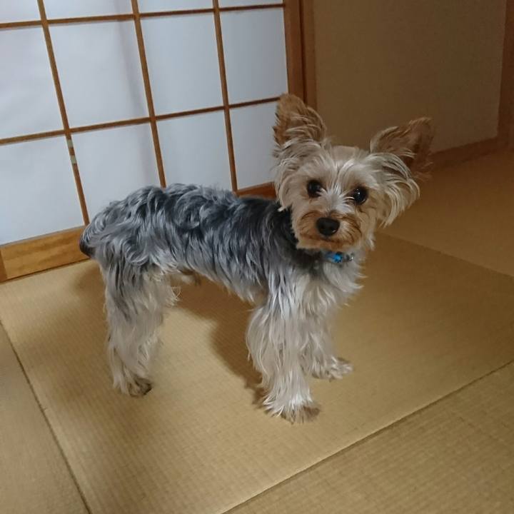 69f9fd93 4db8 42d6 90e8 45942d9822c0